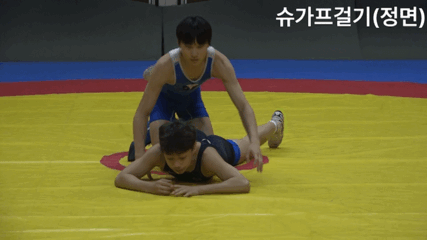 슈가프걸기